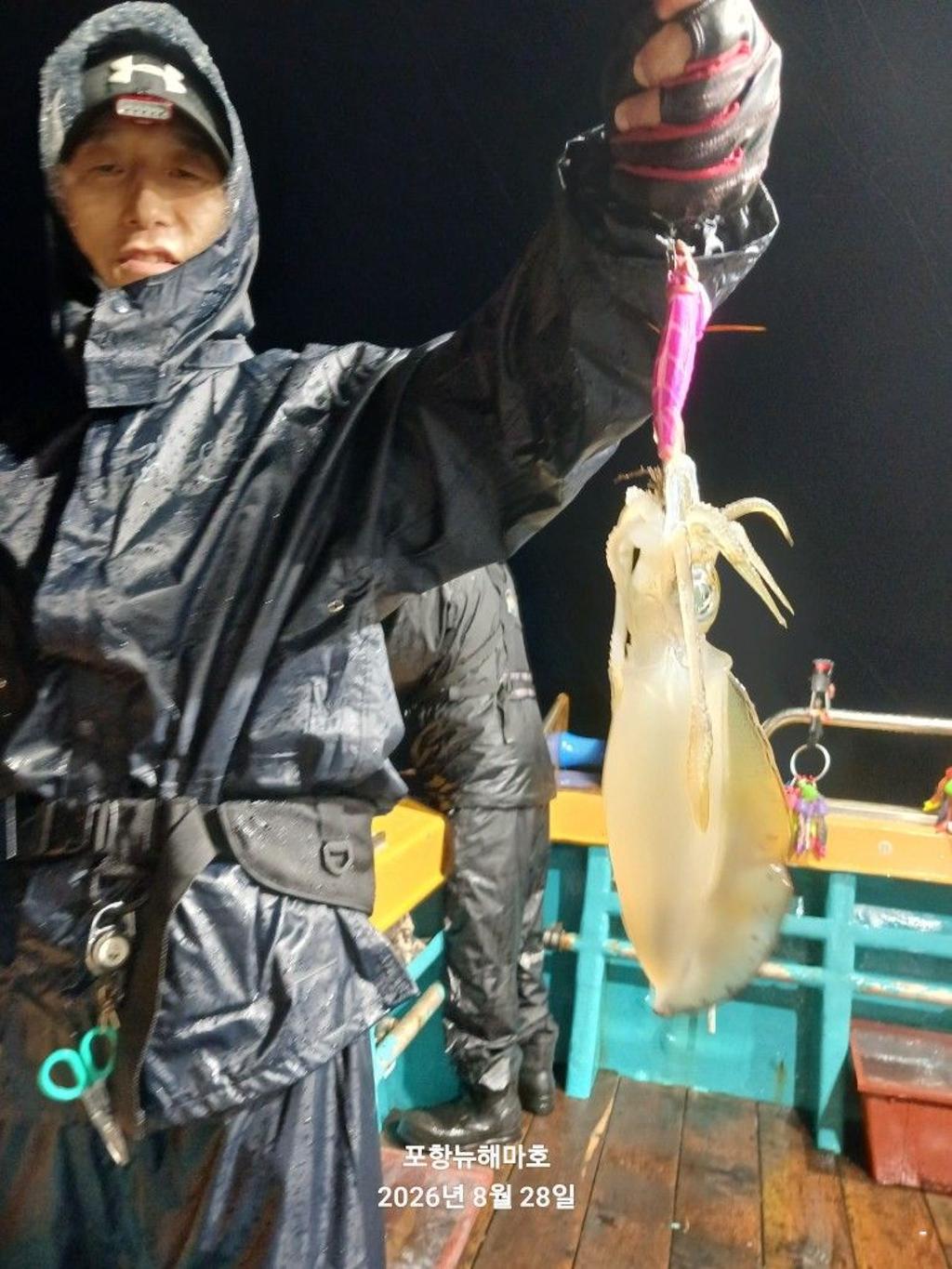 낚시뚜,무늬오징어,영일만항,뉴해마호,낚시뚜22