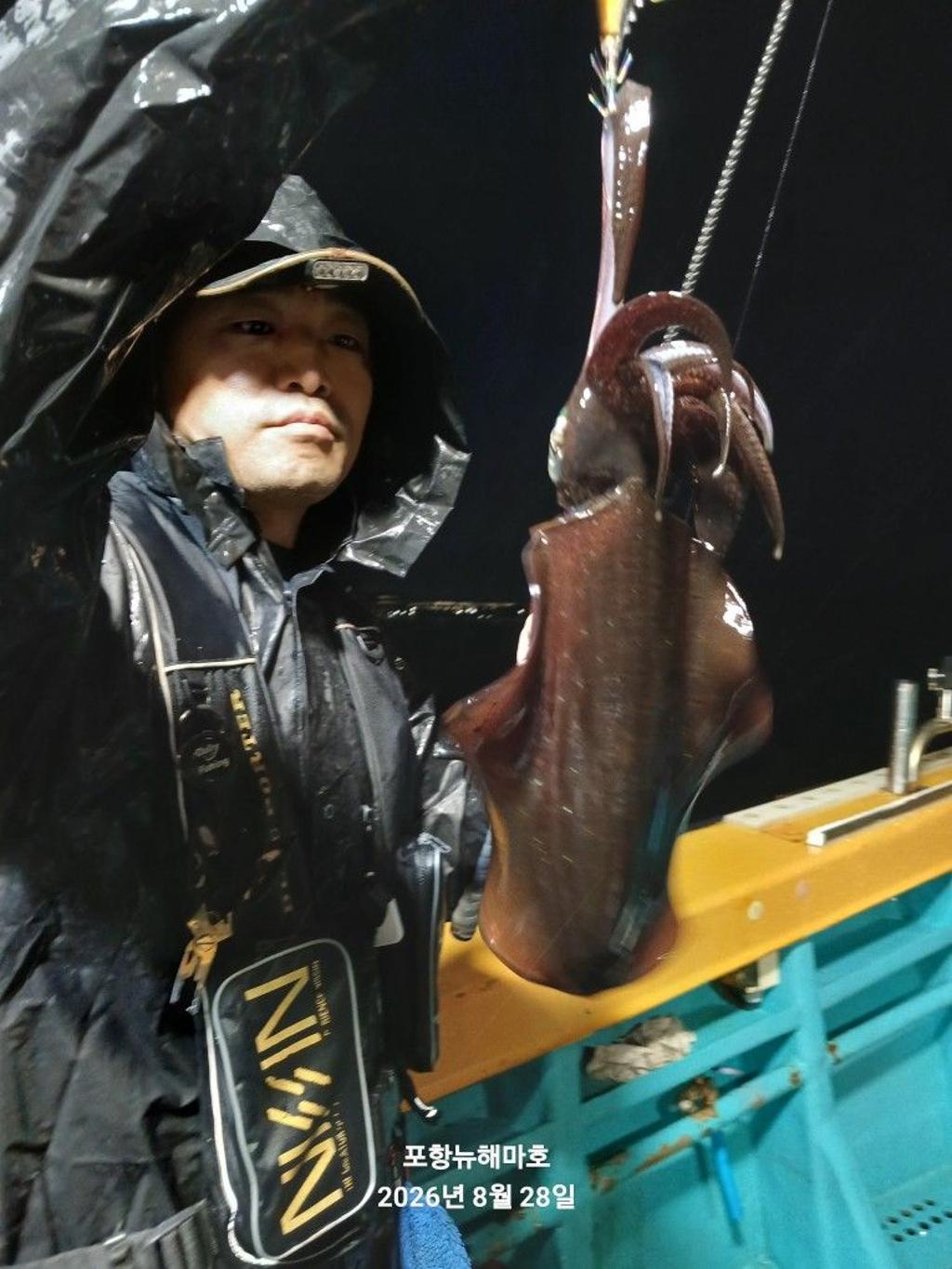 낚시뚜,무늬오징어,영일만항,뉴해마호,낚시뚜19