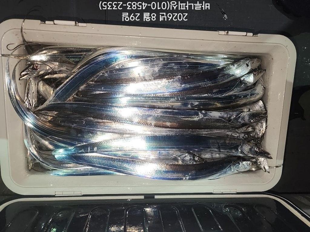 낚시뚜,갈치,속천항(진해),바루나피싱,낚시뚜10