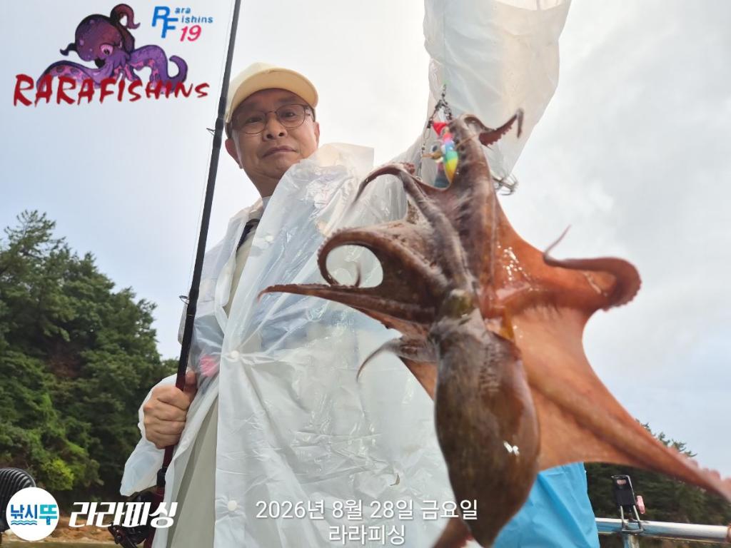 낚시뚜,돌문어,속천항(진해),라라피싱,낚시뚜9