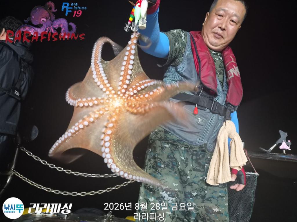 낚시뚜,돌문어,속천항(진해),라라피싱,낚시뚜3