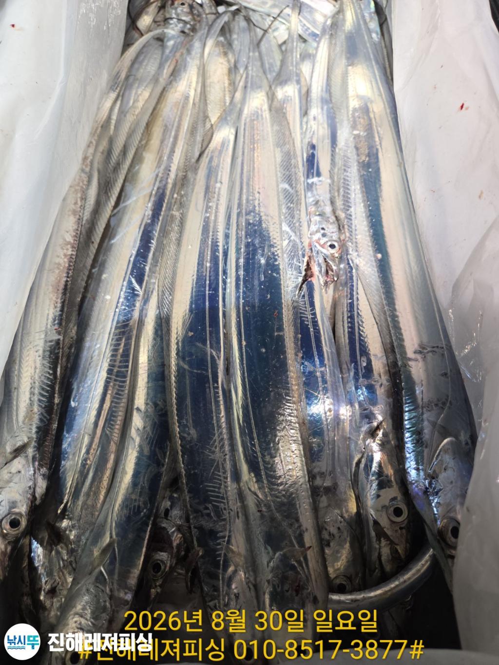 낚시뚜,갈치,진해1부두항,진해레져피싱,낚시뚜18