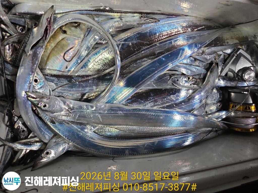 낚시뚜,갈치,진해1부두항,진해레져피싱,낚시뚜12