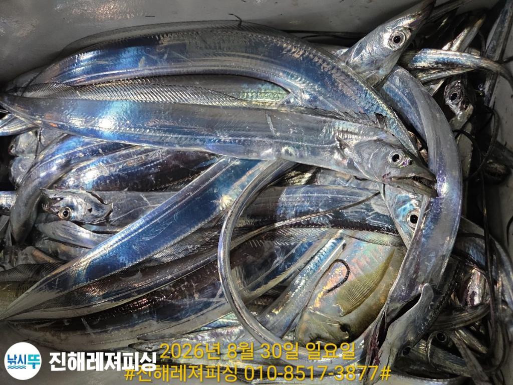 낚시뚜,갈치,진해1부두항,진해레져피싱,낚시뚜11
