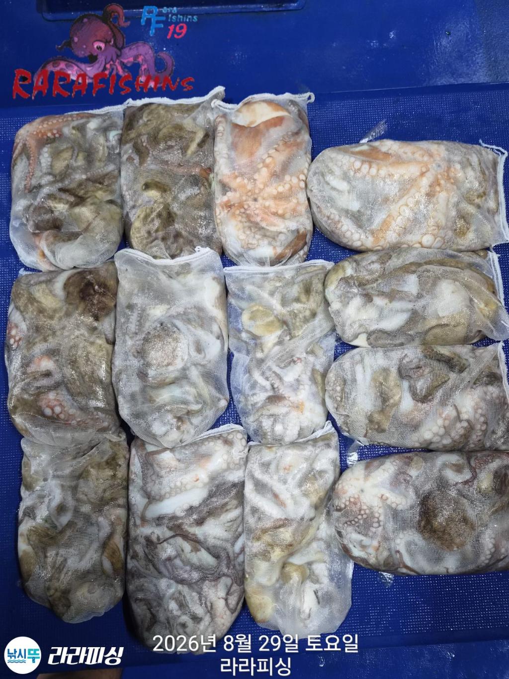 낚시뚜,돌문어,속천항(진해),라라피싱,낚시뚜15