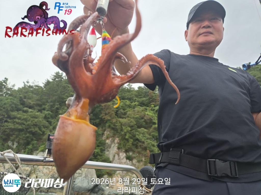 낚시뚜,돌문어,속천항(진해),라라피싱,낚시뚜13