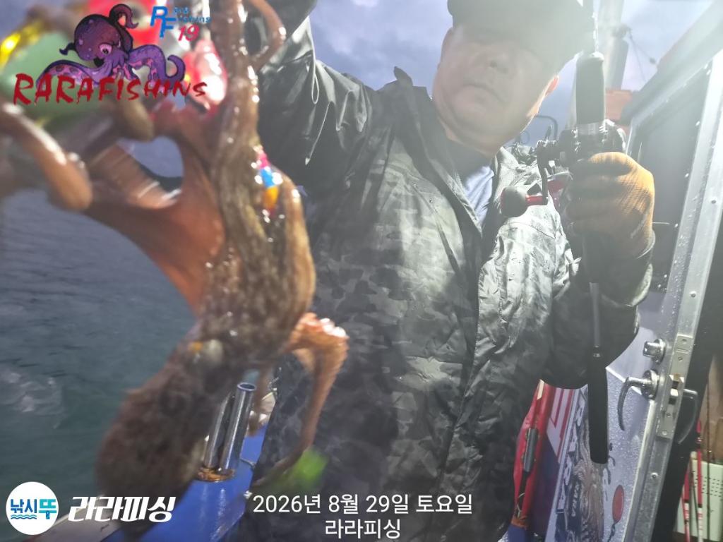 낚시뚜,돌문어,속천항(진해),라라피싱,낚시뚜10
