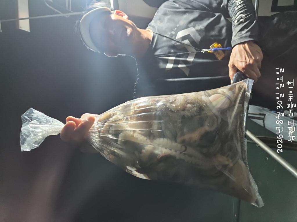 낚시뚜,돌문어,삼천포 팔포항,삼천포 더블케이호,낚시뚜21