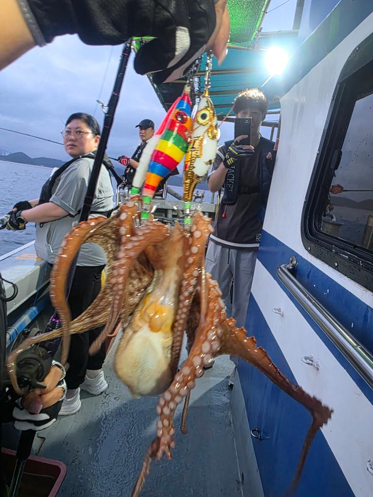 낚시뚜,돌문어,삼천포 팔포항,삼천포 더블케이호,낚시뚜9