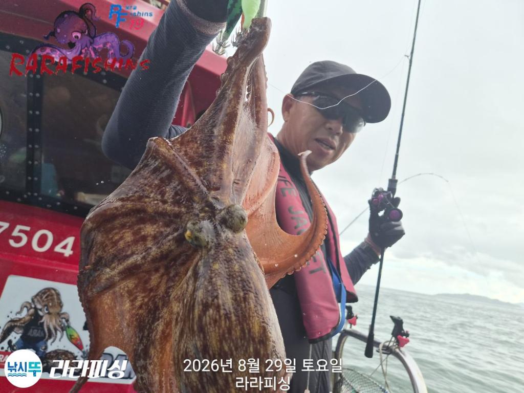 낚시뚜,돌문어,속천항(진해),라라피싱,낚시뚜9
