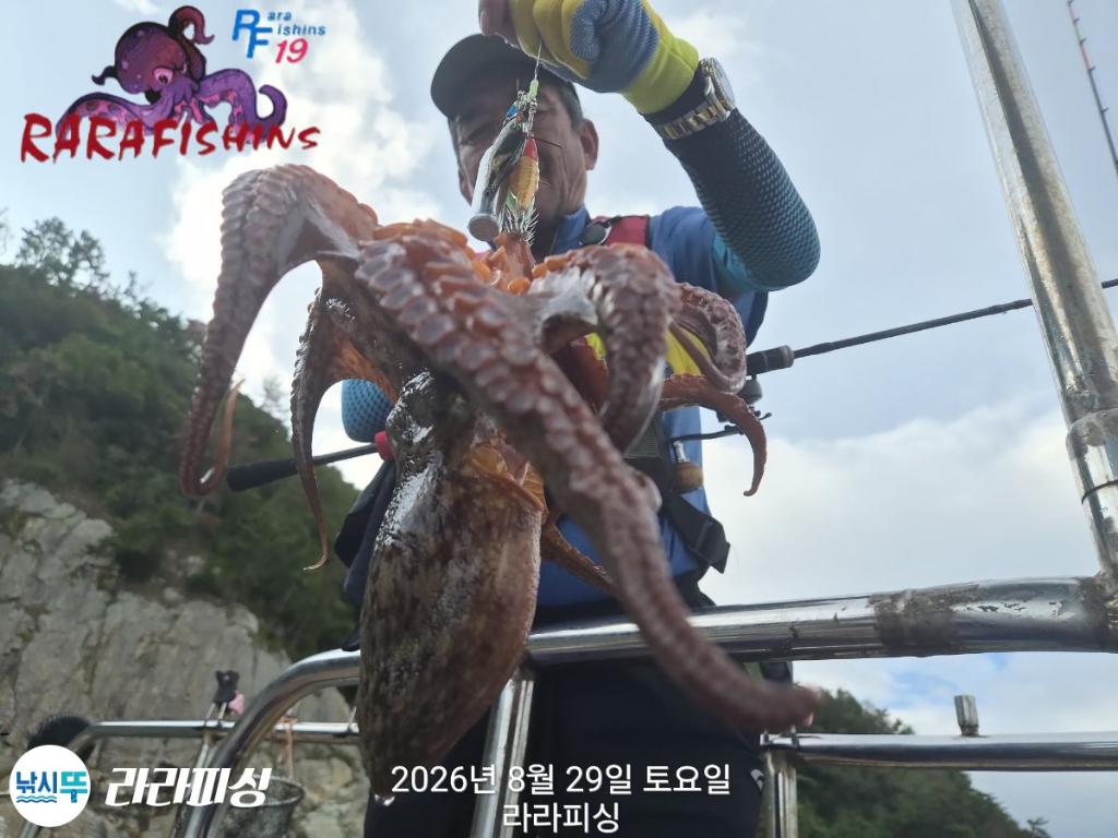 낚시뚜,돌문어,속천항(진해),라라피싱,낚시뚜8