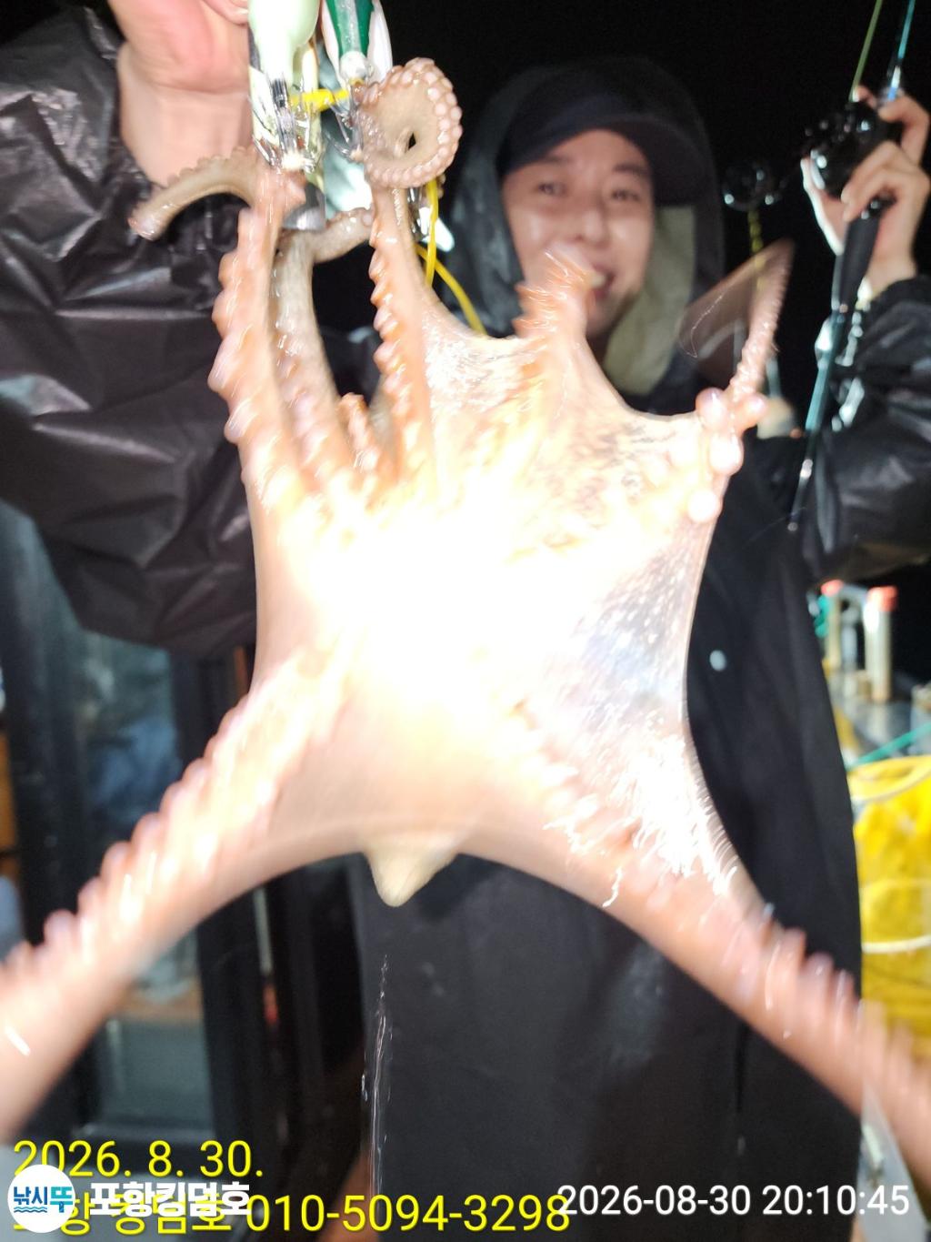 낚시뚜,돌문어,영일만항,포항 킹덤호,낚시뚜7