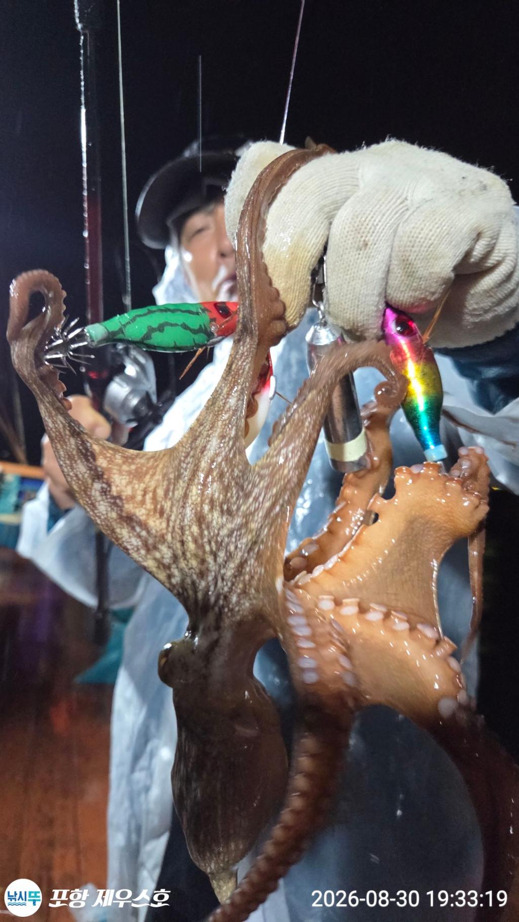 낚시뚜,돌문어,영일만항,포항 제우스호,낚시뚜15
