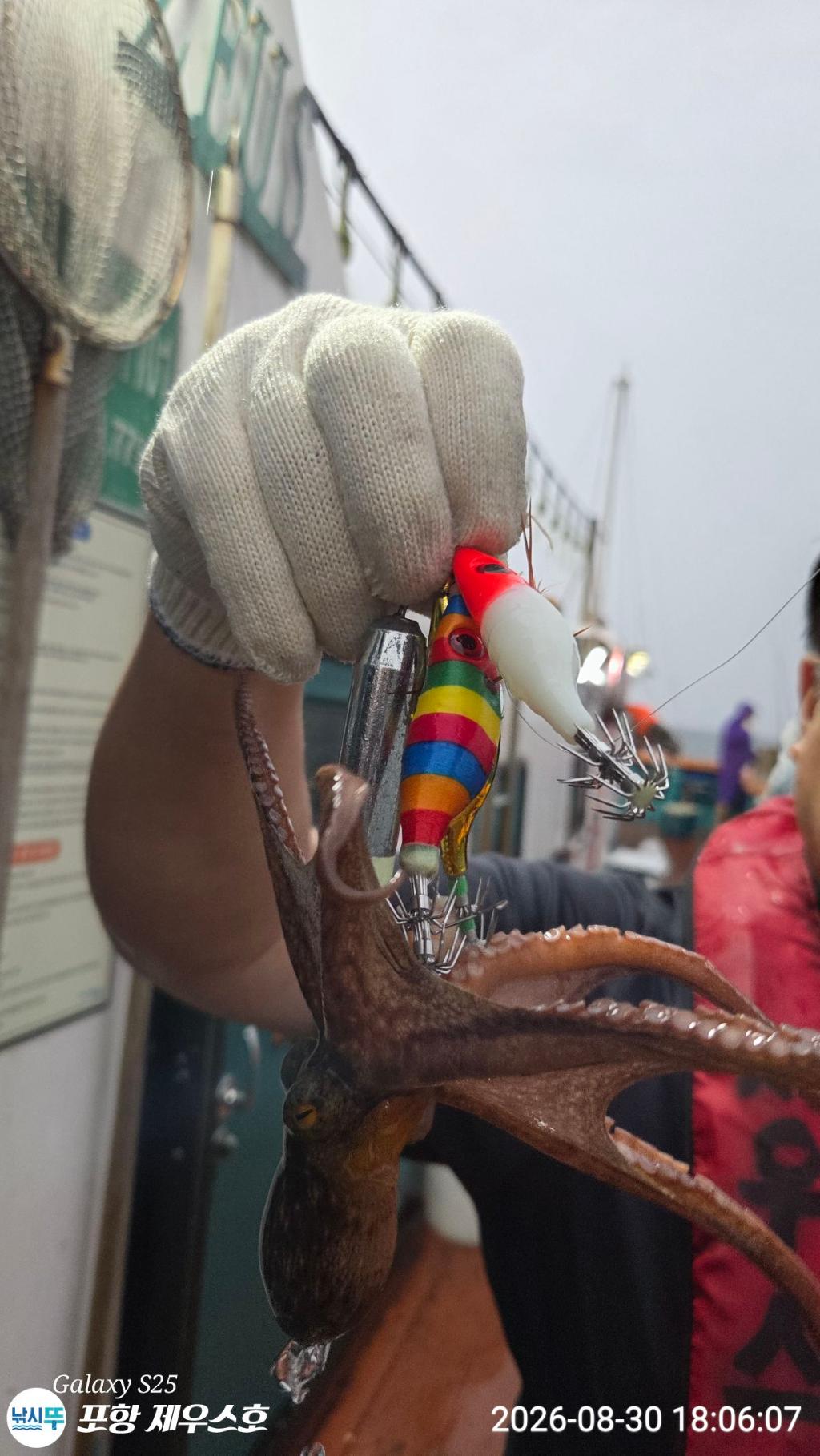 낚시뚜,돌문어,영일만항,포항 제우스호,낚시뚜8