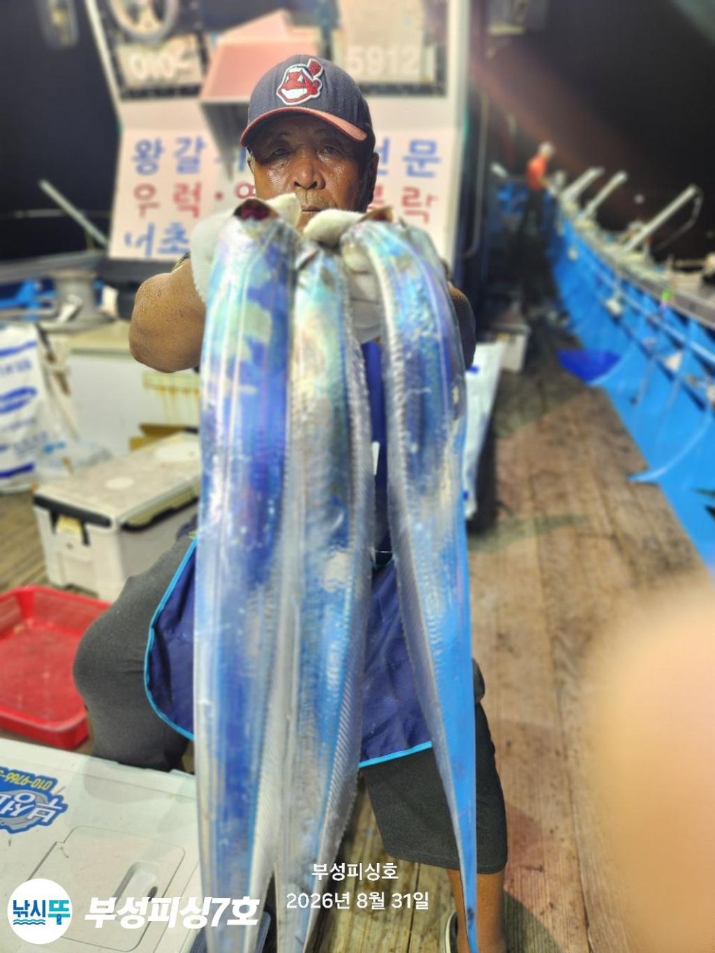 낚시뚜,갈치,통영영운리항,부성피싱7호,낚시뚜3