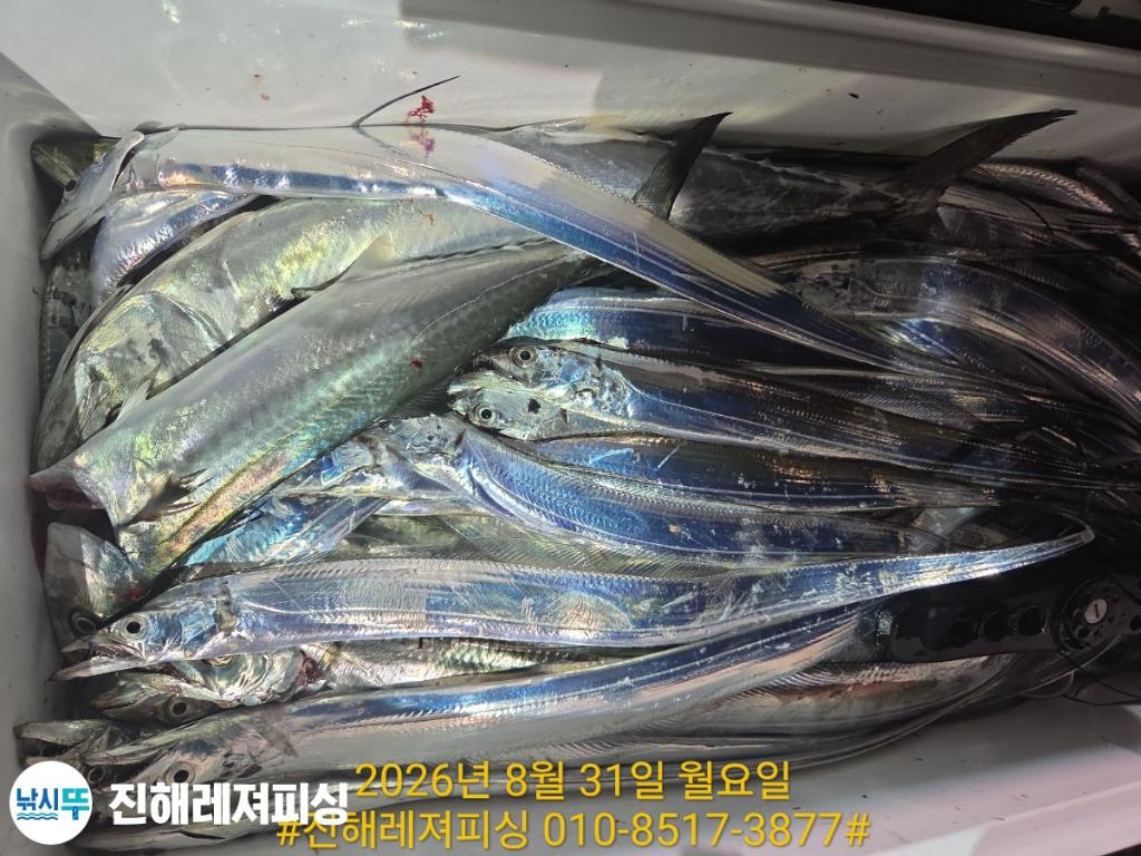 낚시뚜,갈치,진해1부두항,진해레져피싱,낚시뚜12