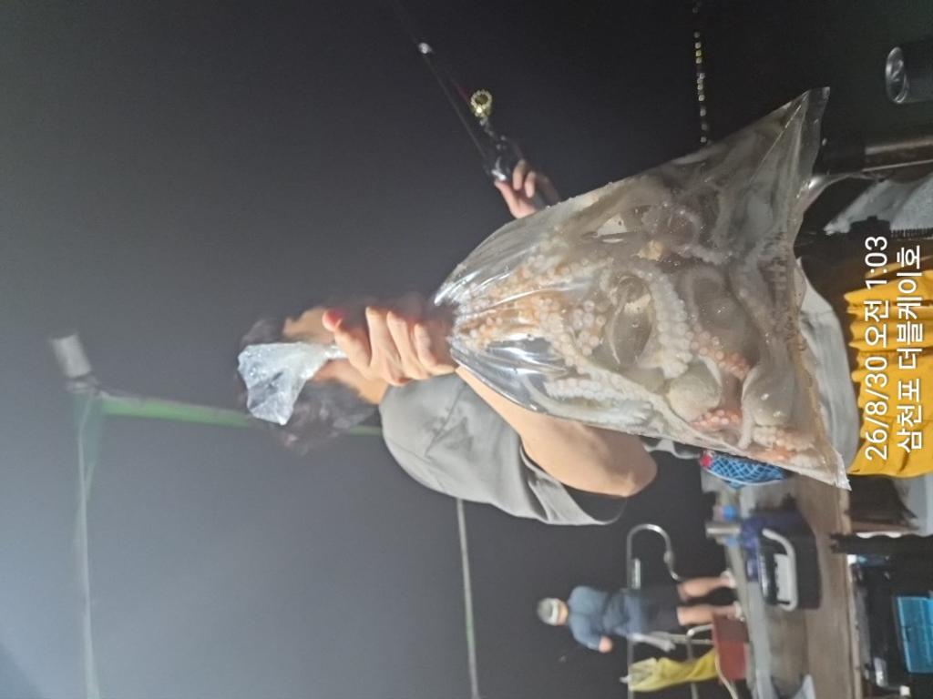 낚시뚜,돌문어,쭈꾸미,삼천포 팔포항,삼천포 더블케이호,낚시뚜15