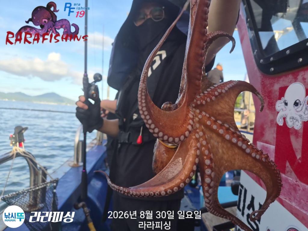 낚시뚜,돌문어,속천항(진해),라라피싱,낚시뚜6