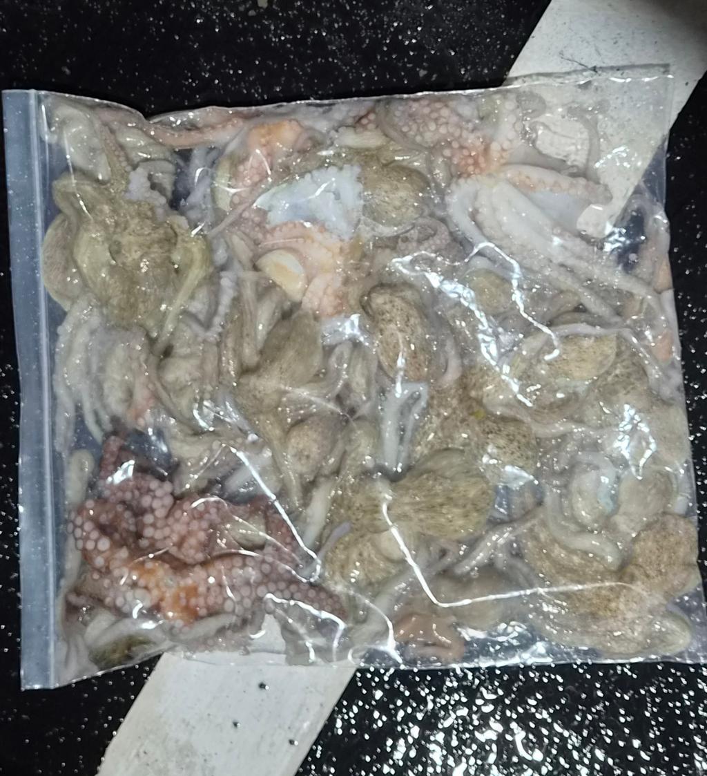 낚시뚜,돌문어,포항여남항,포항포시즌호,낚시뚜14