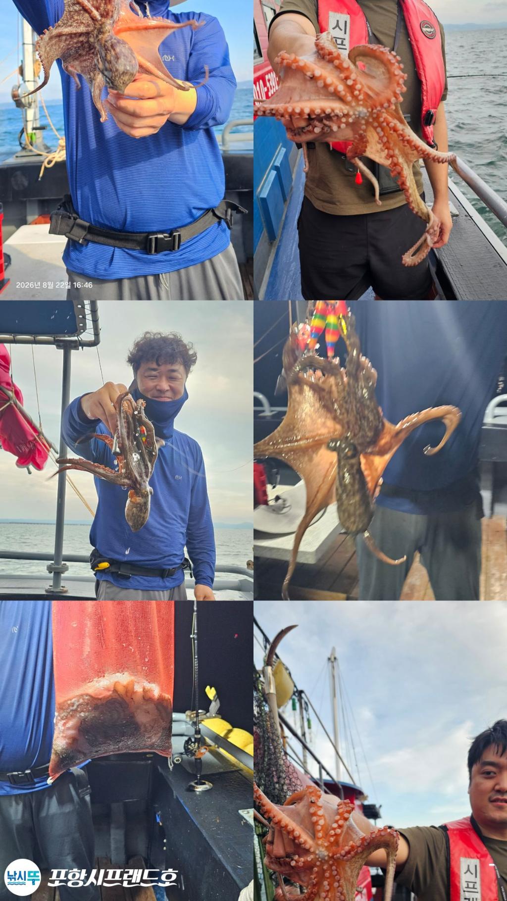 낚시뚜,돌문어,영일만항,포항시프랜드호,낚시뚜2