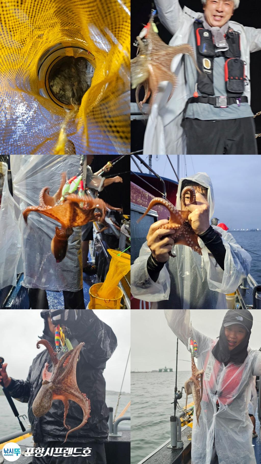 낚시뚜,돌문어,영일만항,포항시프랜드호,낚시뚜1