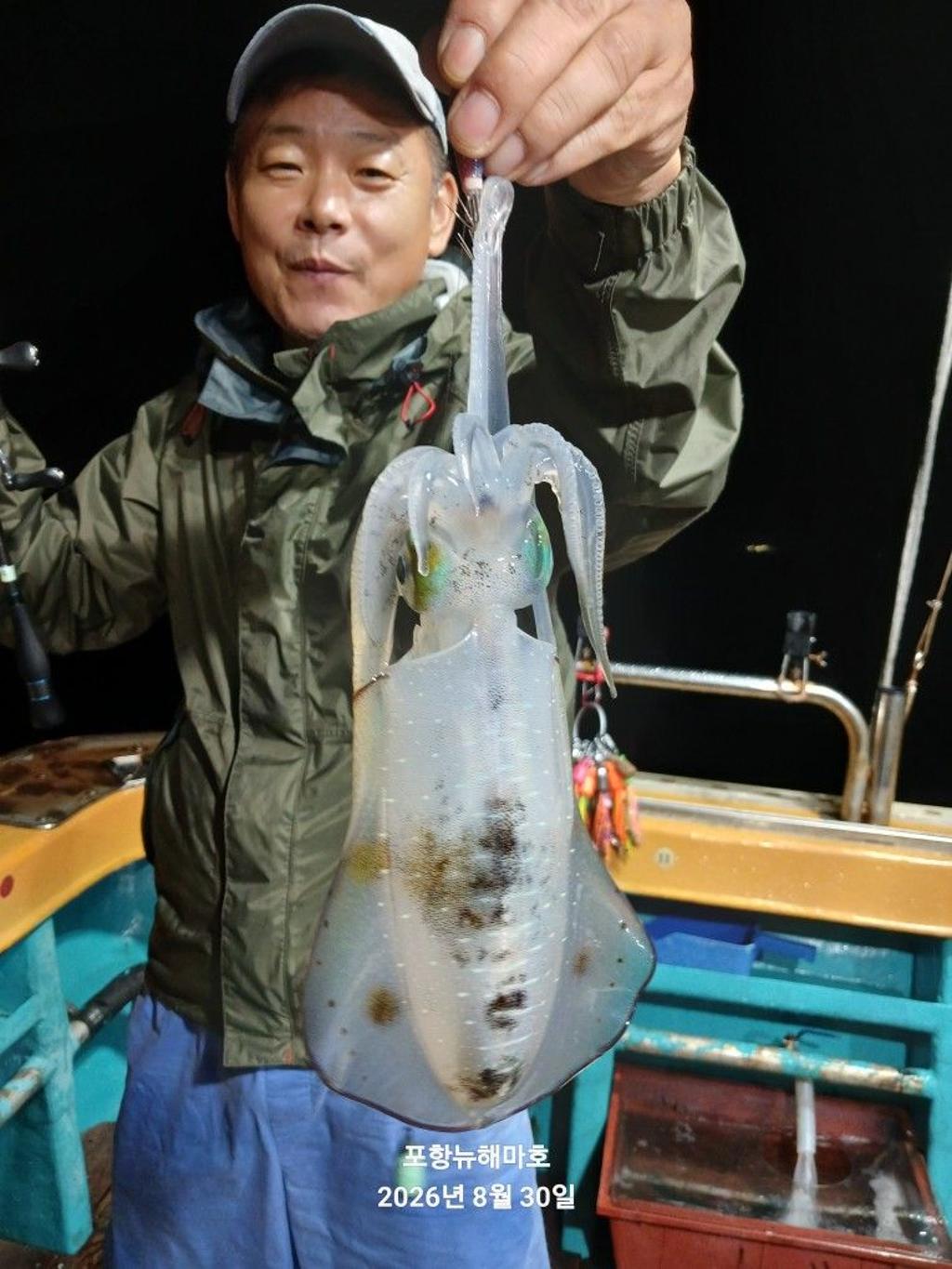 낚시뚜,무늬오징어,영일만항,뉴해마호,낚시뚜21