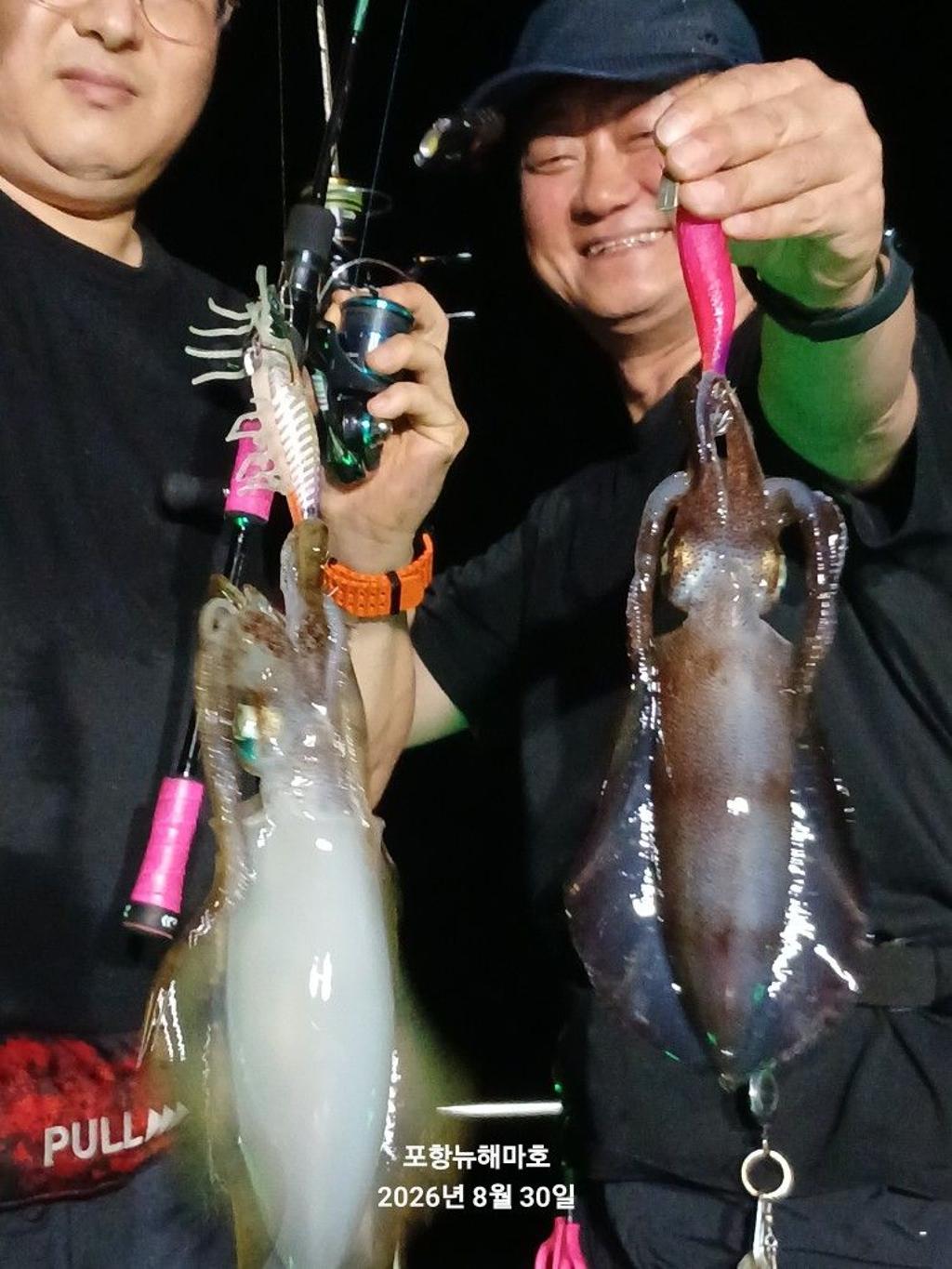 낚시뚜,무늬오징어,영일만항,뉴해마호,낚시뚜12