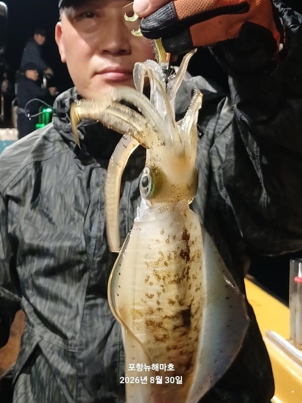 낚시뚜,무늬오징어,영일만항,뉴해마호,낚시뚜11