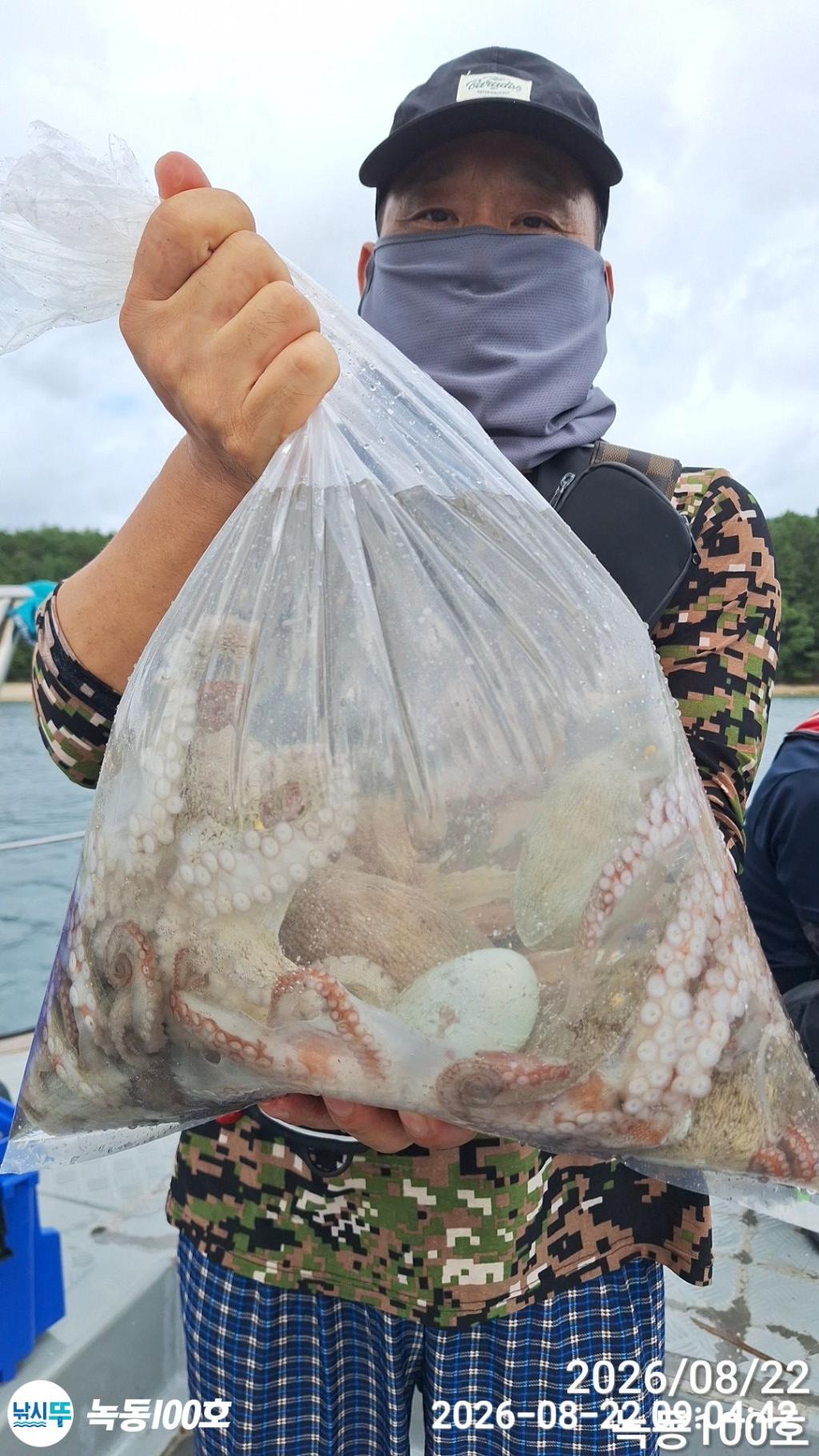 낚시뚜,돌문어,녹동항,녹동100호,낚시뚜3