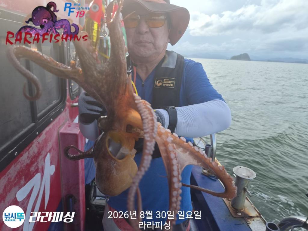 낚시뚜,돌문어,속천항(진해),라라피싱,낚시뚜11