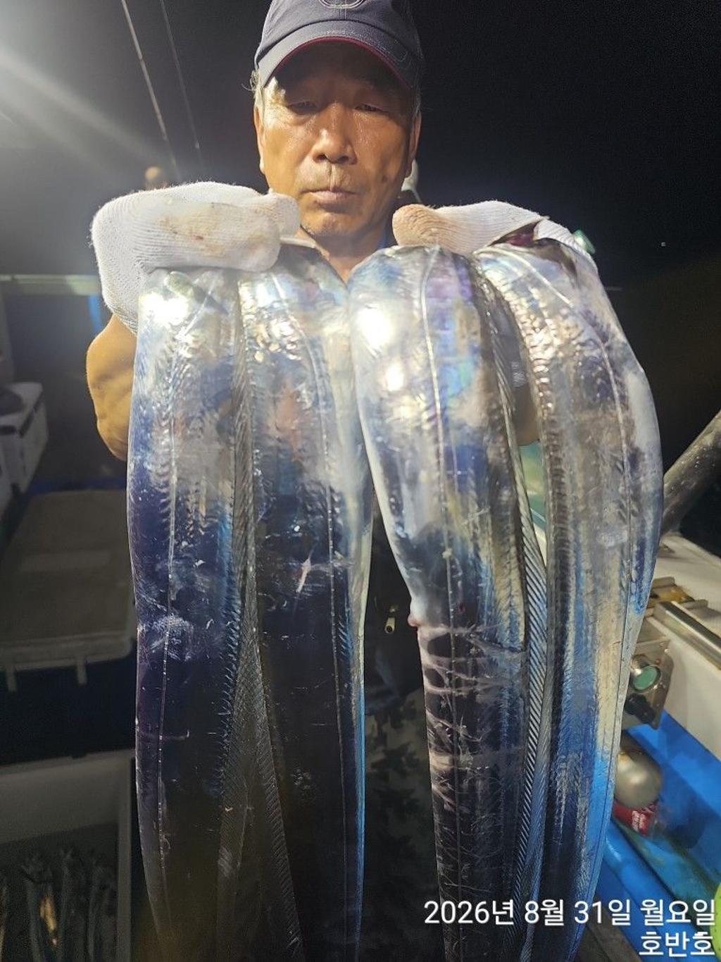 낚시뚜,갈치,통영 신전항,통영호반호,낚시뚜11