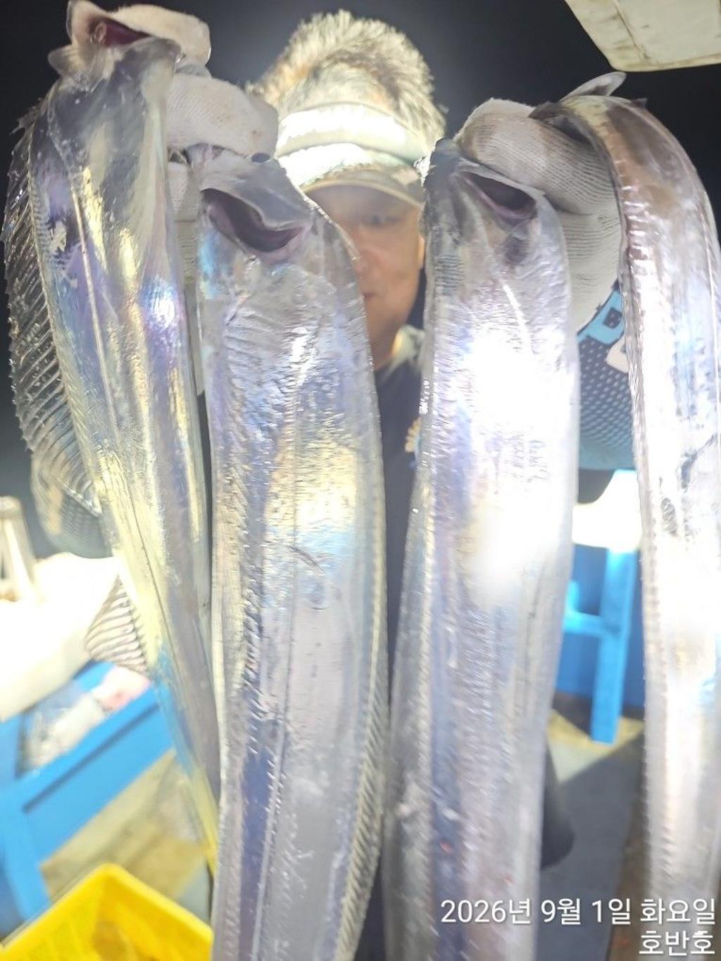 낚시뚜,갈치,통영 신전항,통영호반호,낚시뚜10