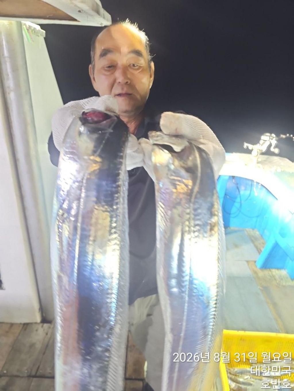 낚시뚜,갈치,통영 신전항,통영호반호,낚시뚜6