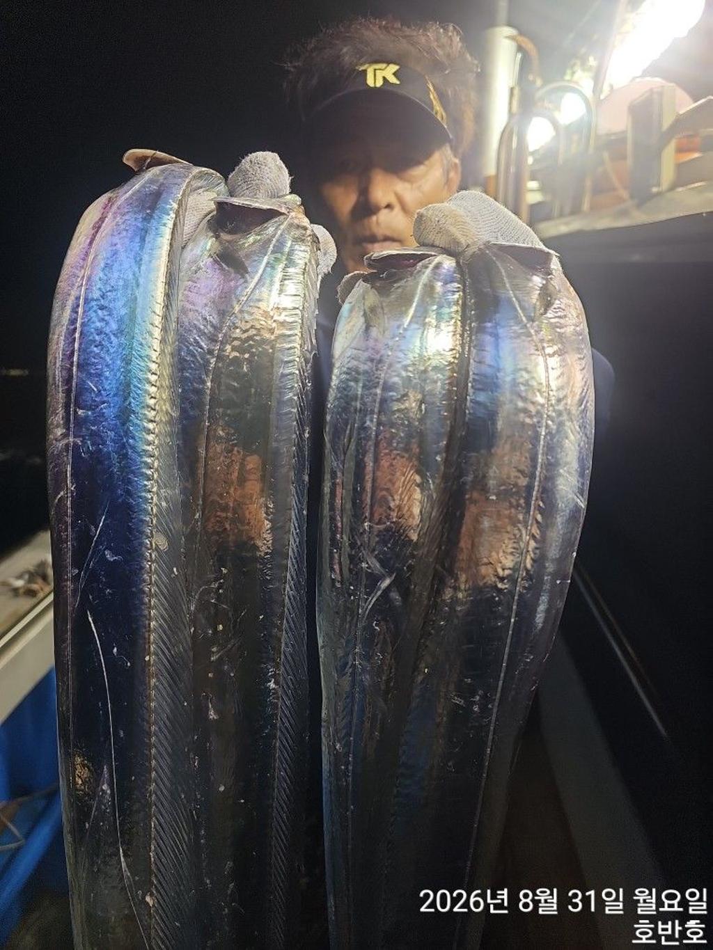 낚시뚜,갈치,통영 신전항,통영호반호,낚시뚜3