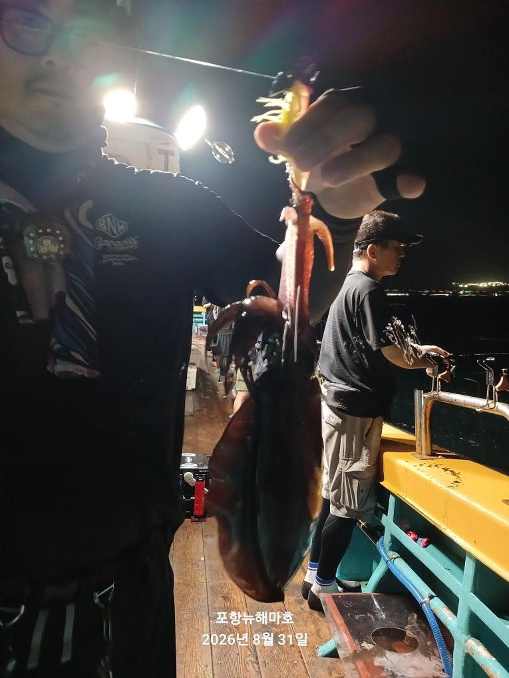 낚시뚜,무늬오징어,영일만항,뉴해마호,낚시뚜7