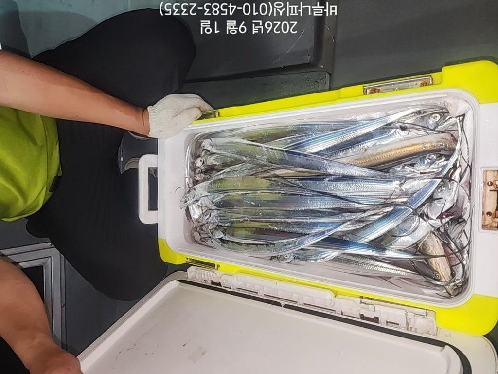 낚시뚜,갈치,속천항(진해),바루나피싱,낚시뚜4