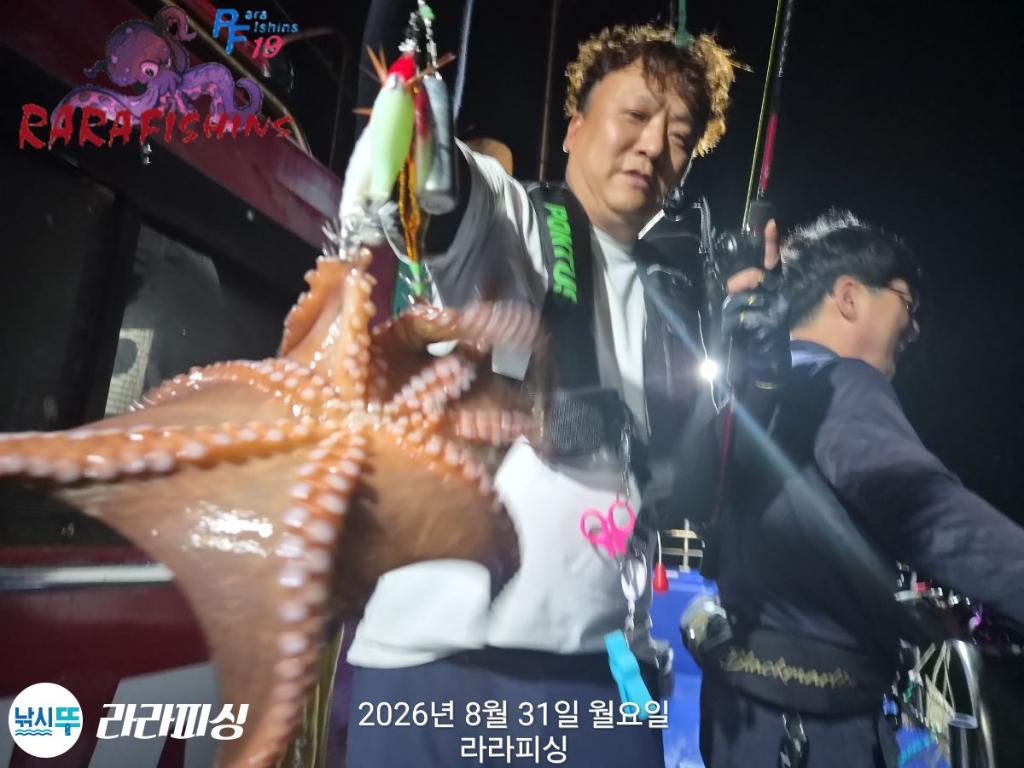 낚시뚜,돌문어,속천항(진해),라라피싱,낚시뚜6
