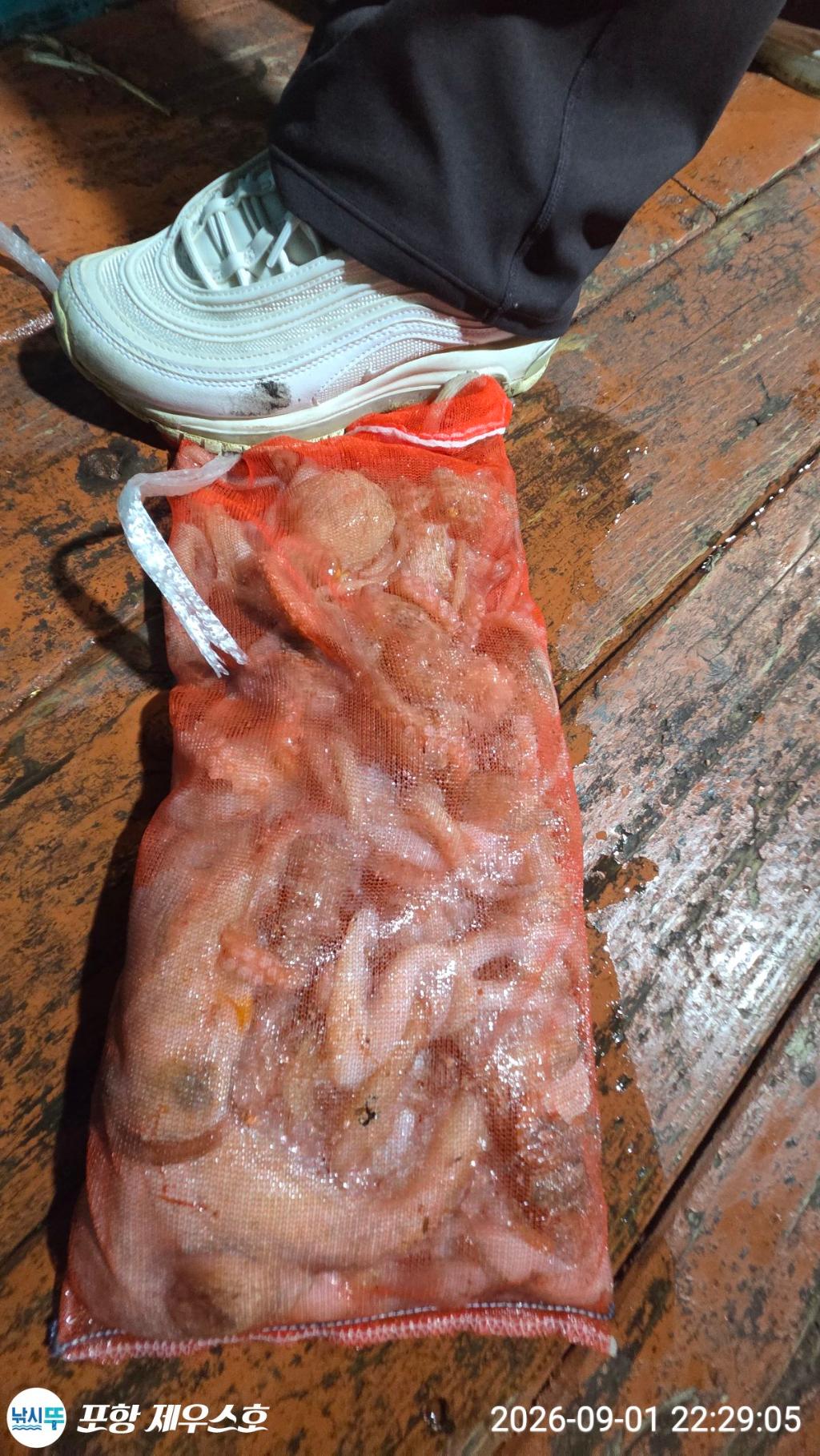 낚시뚜,돌문어,영일만항,포항 제우스호,낚시뚜24
