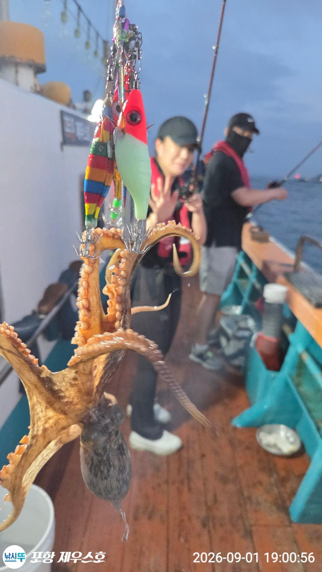 낚시뚜,돌문어,영일만항,포항 제우스호,낚시뚜19