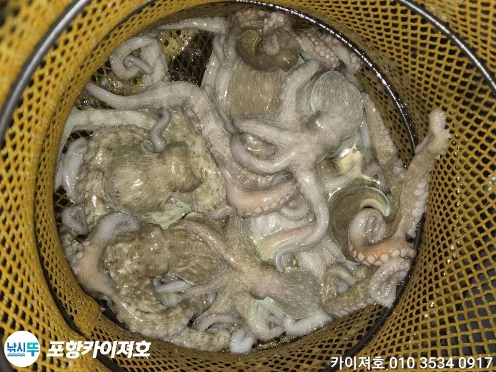 낚시뚜,기타 (직접입력),영일만항,포항카이져호,낚시뚜39
