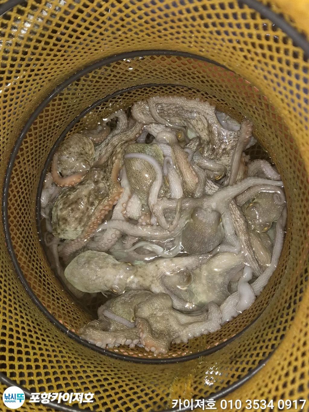 낚시뚜,기타 (직접입력),영일만항,포항카이져호,낚시뚜37