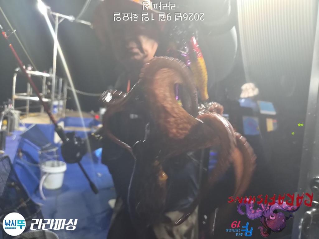 낚시뚜,돌문어,속천항(진해),라라피싱,낚시뚜10