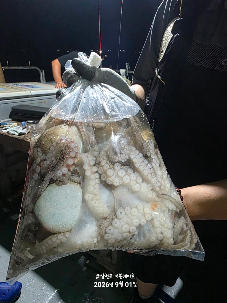낚시뚜,돌문어,삼천포 팔포항,삼천포 더블케이호,낚시뚜7