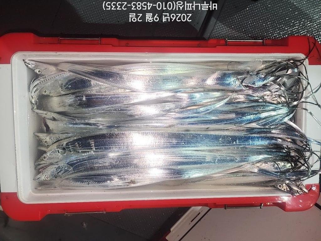 낚시뚜,갈치,속천항(진해),바루나피싱,낚시뚜7