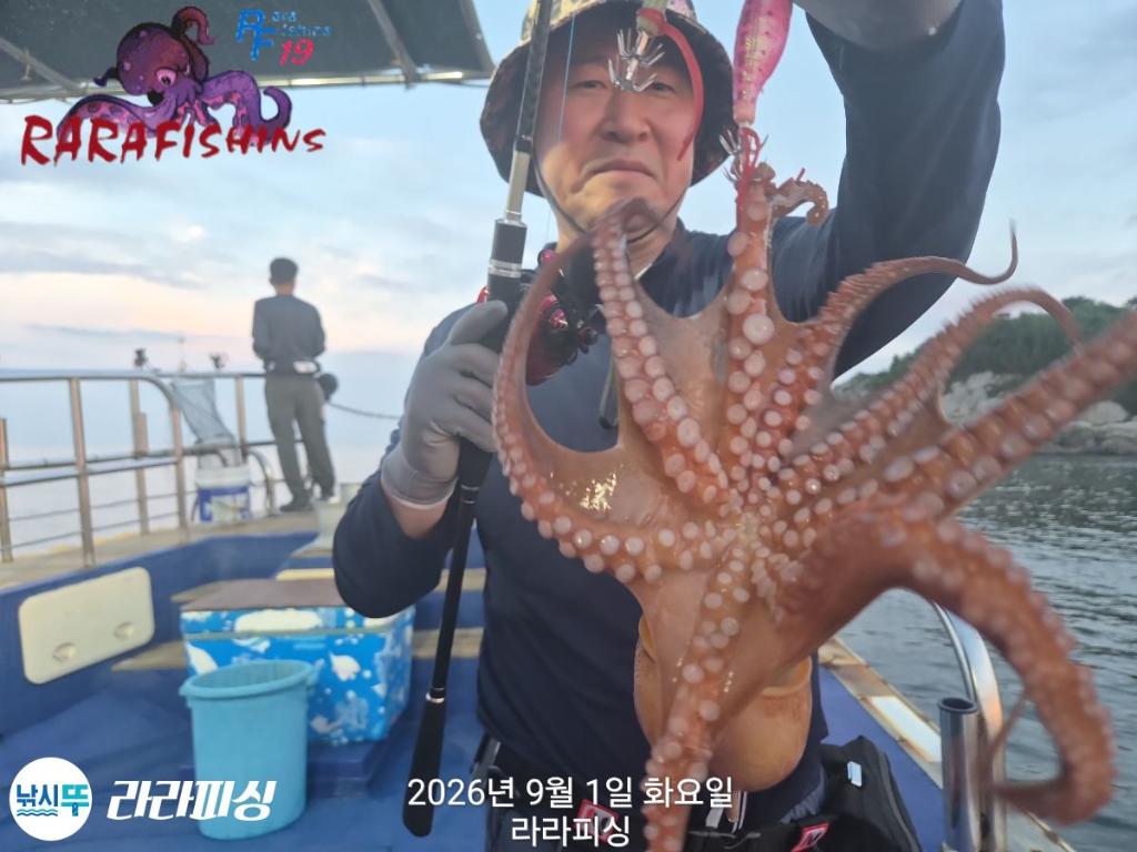 낚시뚜,돌문어,속천항(진해),라라피싱,낚시뚜4