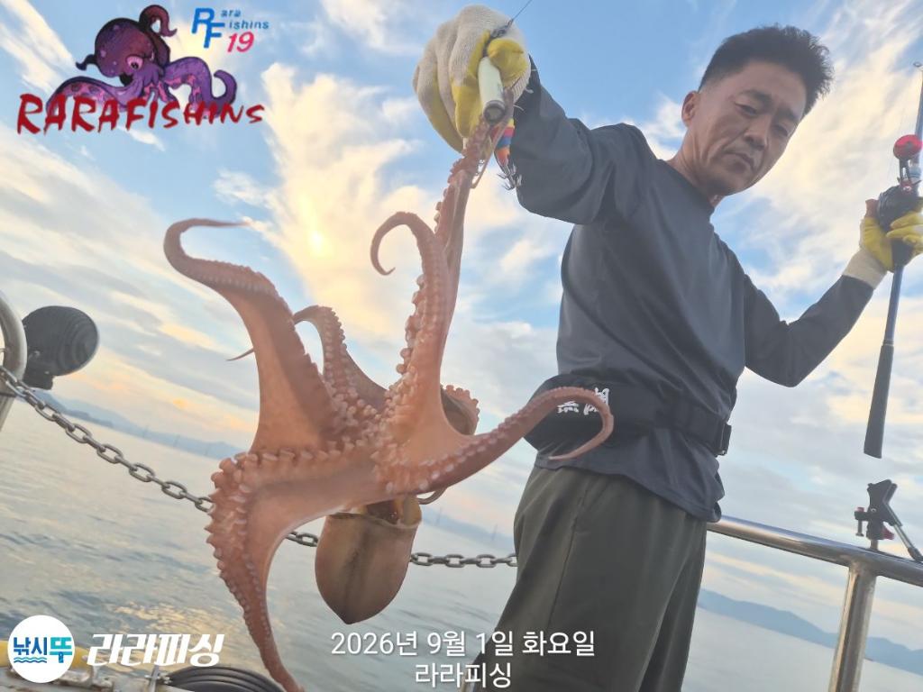 낚시뚜,돌문어,속천항(진해),라라피싱,낚시뚜3