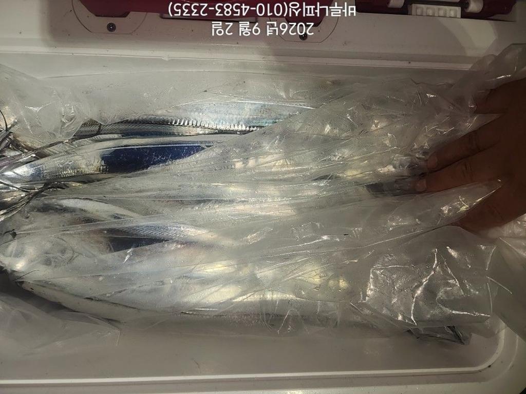 낚시뚜,갈치,속천항(진해),바루나피싱,낚시뚜10