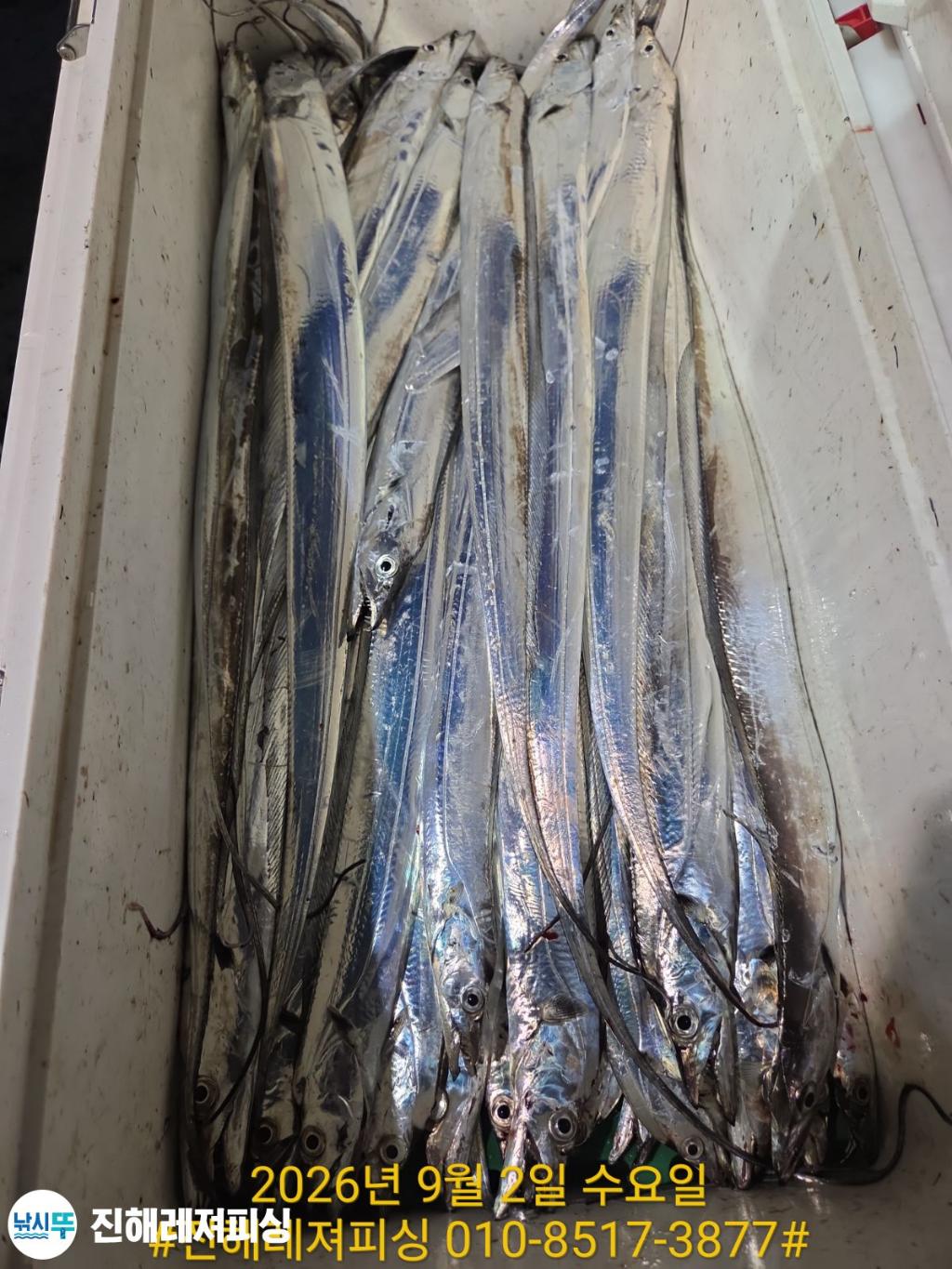 낚시뚜,갈치,진해1부두항,진해레져피싱,낚시뚜27