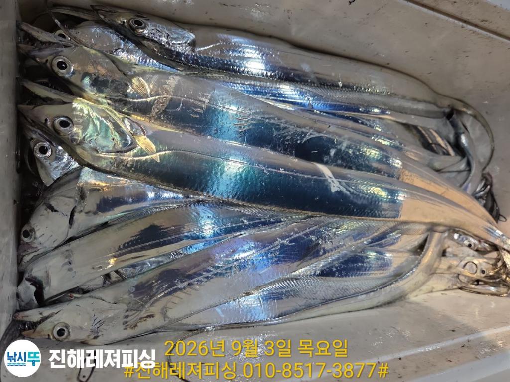 낚시뚜,갈치,진해1부두항,진해레져피싱,낚시뚜23