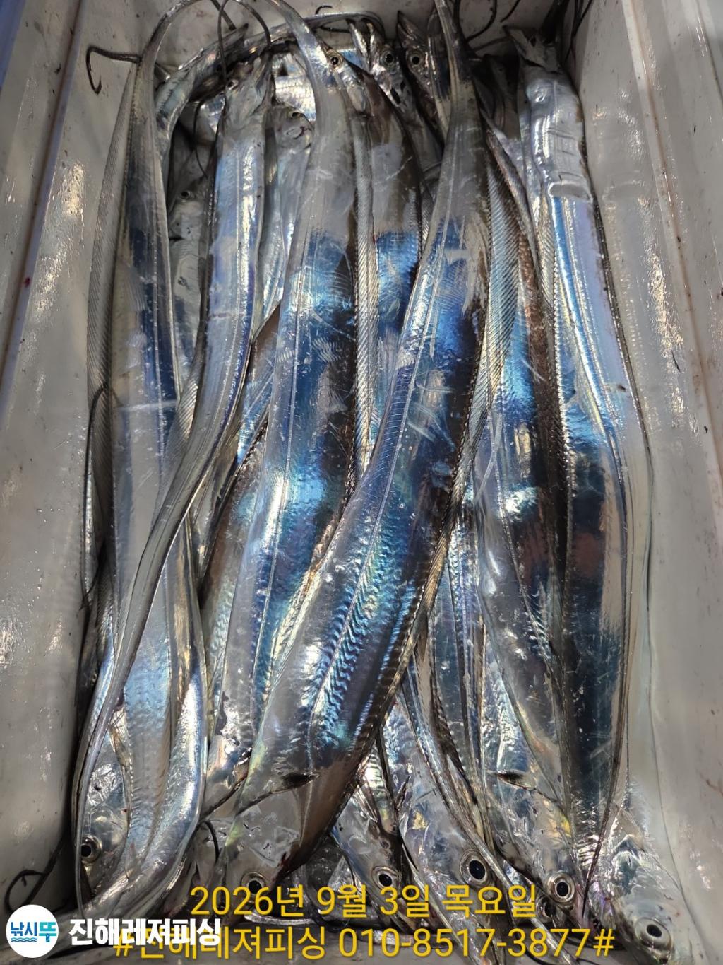 낚시뚜,갈치,진해1부두항,진해레져피싱,낚시뚜21